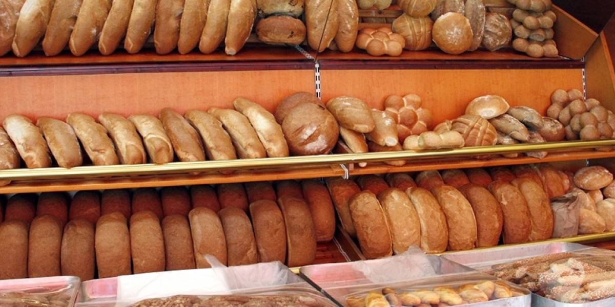 Energjia per furrat e bukes, Ahmeti: nuk do kete reduktim tarifash
